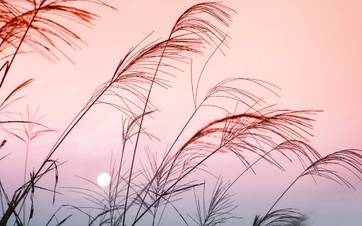 537127 (a): :1920x1200
